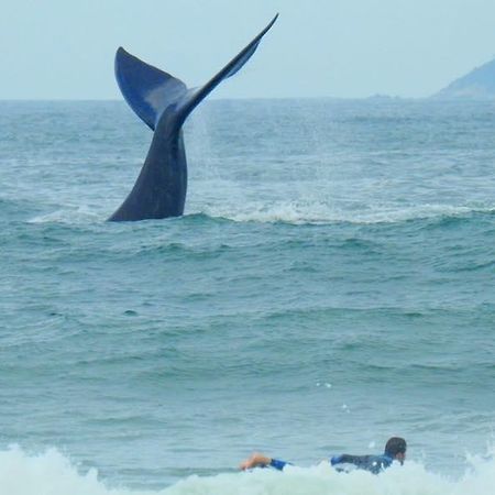 Tranquilidade Na Praia Da Gamboa Garopaba Exteriör bild